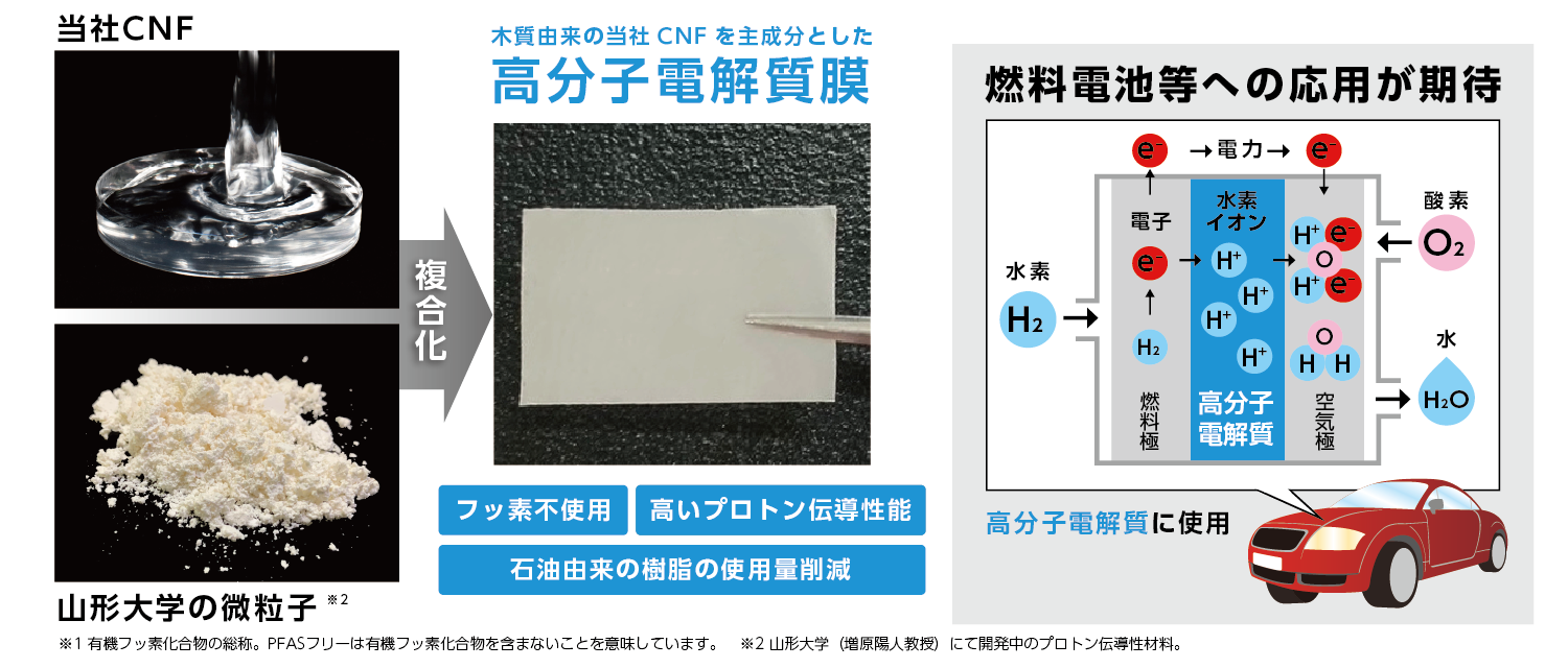 CNFを用いた燃料電池用「高分子電解質膜」の開発